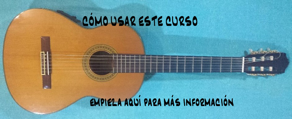 Cómo usar este curso.